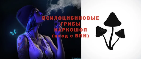 таблы Козельск