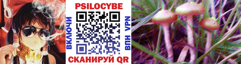 Псилоцибиновые грибы Cubensis  Купить закладки  Рузаевка 